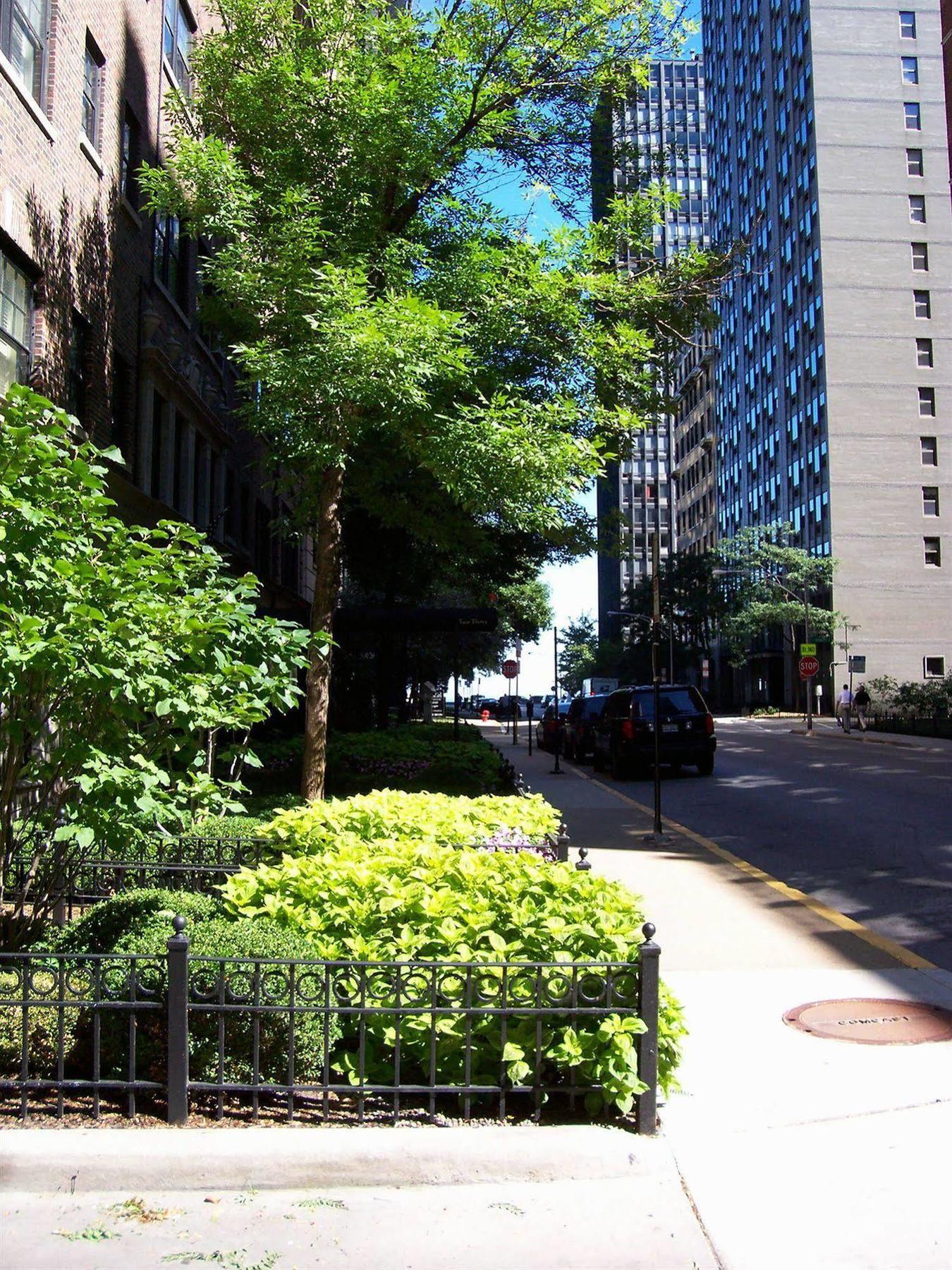 Dewitt Hotel And Suites Chicago Exterior photo